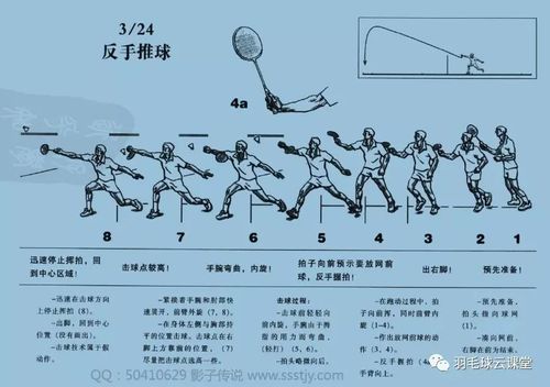 羽毛球基础教学视频,羽毛球基础教学视频教程全集