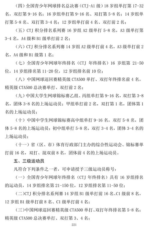 网球技术,网球技术等级标准