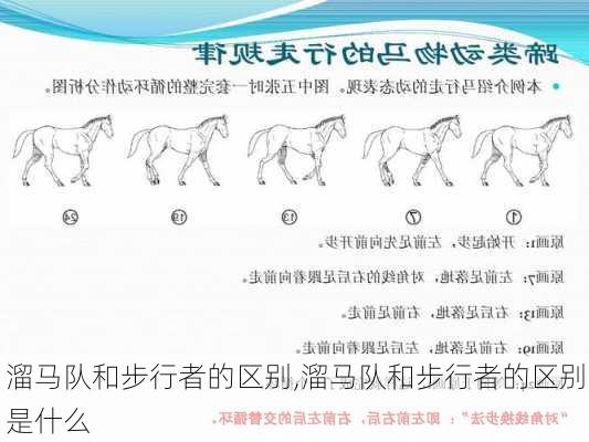 溜马队和步行者的区别,溜马队和步行者的区别是什么