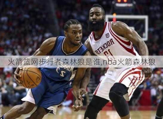 火箭篮网步行者森林狼是谁,nba火箭森林狼