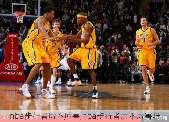 nba步行者厉不厉害,nba步行者厉不厉害呀