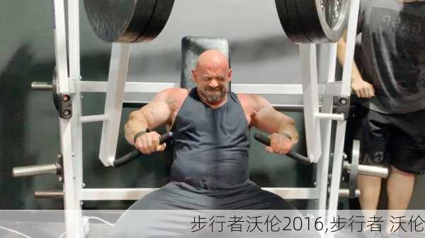 步行者沃伦2016,步行者 沃伦