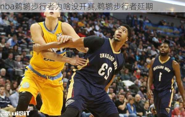 nba鹈鹕步行者为啥没开赛,鹈鹕步行者延期