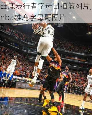 雄鹿步行者字母哥扣篮图片,nba雄鹿字母哥图片