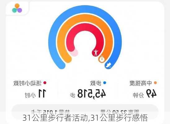 31公里步行者活动,31公里步行感悟