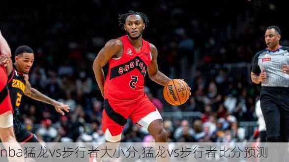 nba猛龙vs步行者大小分,猛龙vs步行者比分预测