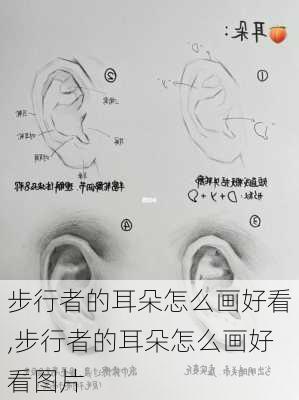 步行者的耳朵怎么画好看,步行者的耳朵怎么画好看图片