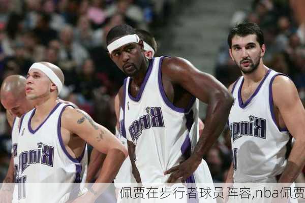 佩贾在步行者球员阵容,nba佩贾