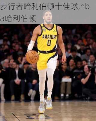 步行者哈利伯顿十佳球,nba哈利伯顿