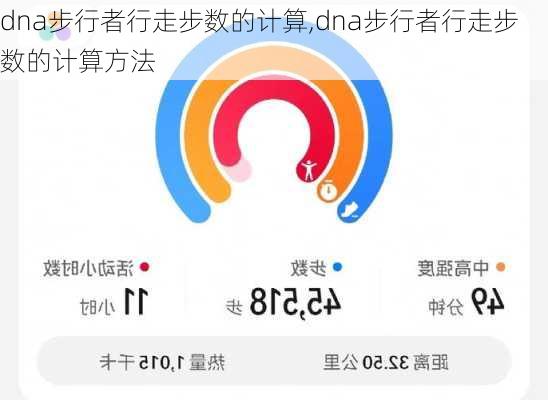 dna步行者行走步数的计算,dna步行者行走步数的计算方法