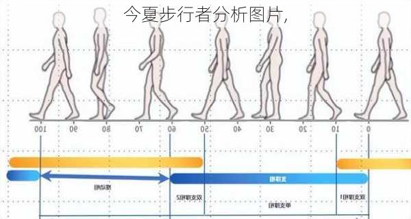 今夏步行者分析图片,